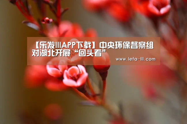 乐发lllAPP下载