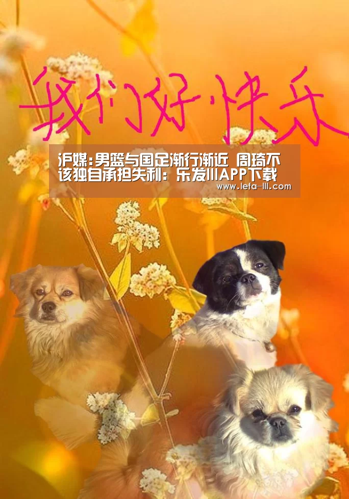 沪媒:男篮与国足渐行渐近 周琦不该独自承担失利:乐发lllAPP下载(图3) 乐发lll官方入口