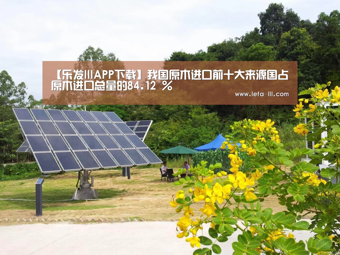 乐发lllAPP下载